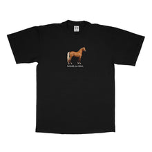 Load image into Gallery viewer, Idiot Horse - Black Tee